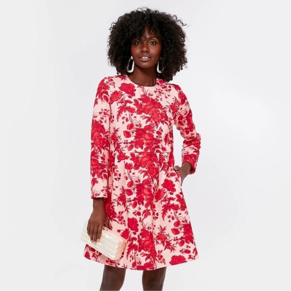 Tuckernuck Pink and Red Floral Mini Dress